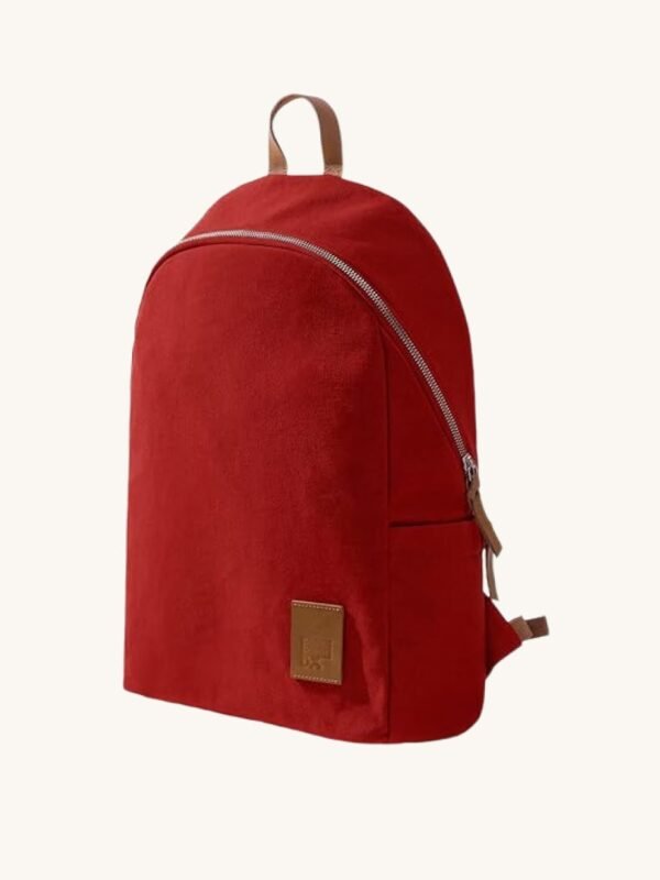 Travel Laptop Backpack